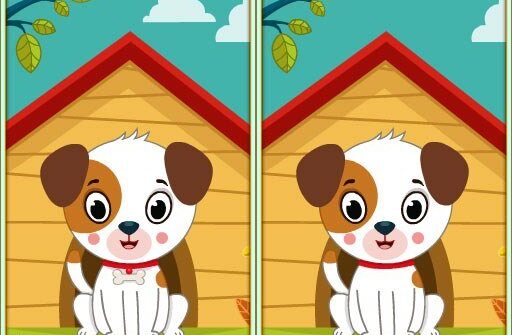 Spot 5 Differences game