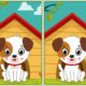 Spot 5 Differences game